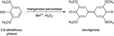 Manganese peroxidase Immobilised enzymes in biorenewables production Chemical Society