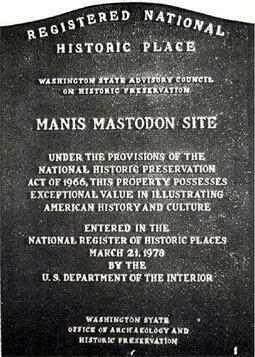 Manis Mastodon Site The Manis Mastodon Site An Adventure In Prehistory Summer 2012