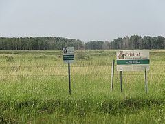 Manitoba Tall Grass Prairie Preserve httpsuploadwikimediaorgwikipediacommonsthu