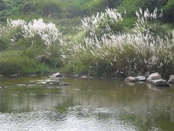 Manjira River Manjira River Trek Great Hyderabad Adventure Club GHAC