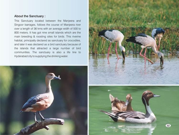 Manjira Wildlife Sanctuary Page4jpg