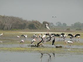 Manjira Wildlife Sanctuary httpsuploadwikimediaorgwikipediacommonsthu