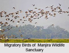 Manjira Wildlife Sanctuary Manjira Wildlife Sanctuary Medak District Telangana