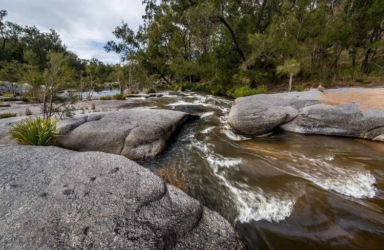 Mann River (New South Wales) wwwnationalparksnswgovaumediaFBCFEBE460FB4