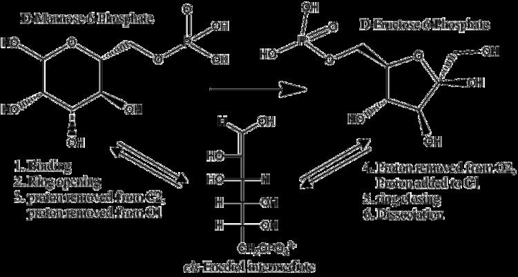Mannose phosphate isomerase