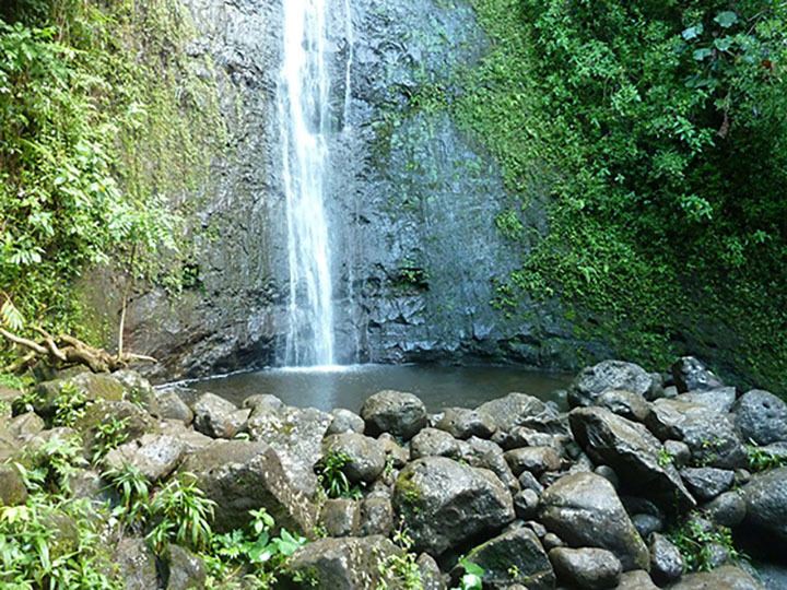 Manoa Falls https1bo9y82e76el2rf8ms1m5i0rwpenginenetdnas