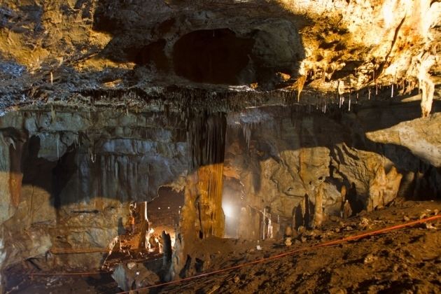 Manot Cave Neanderthals gain human neighbour Nature News amp Comment