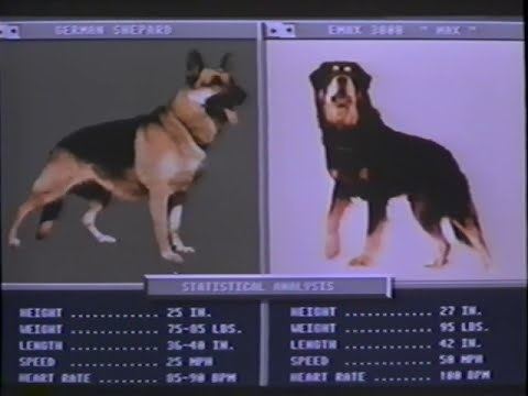 Man's Best Friend (1993 film) Mans Best Friend 1993 Trailer VHS Capture YouTube