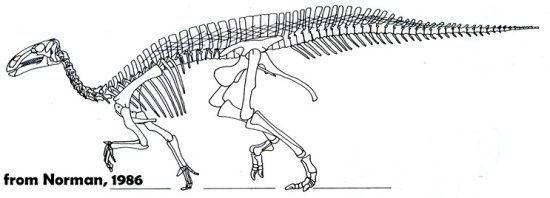 Mantellisaurus DinoWight Mantellisaurus an Isle of Wight Iguanodontid