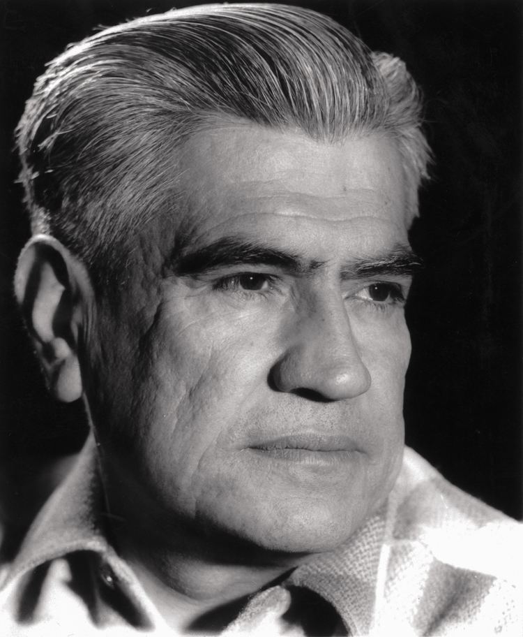 Manuel Rojas (author) Biografa Fundacin Manuel Rojas
