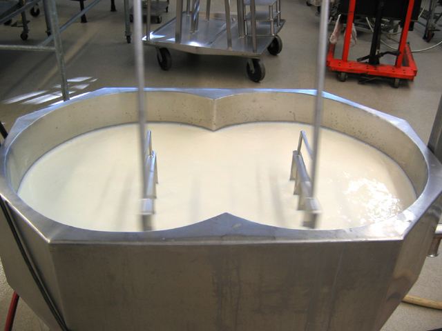 Manufacture of cheddar cheese