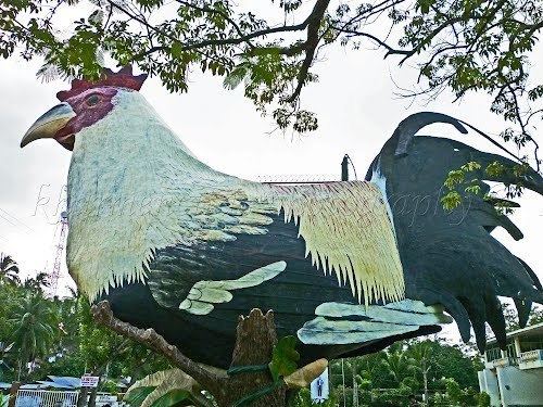 Manukan, Zamboanga del Norte Weird Rooster House in Manukan Zamboanga del Norte Philippines