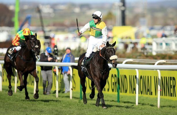 Many Clouds Former Grand National winner Many Clouds collapses and dies after