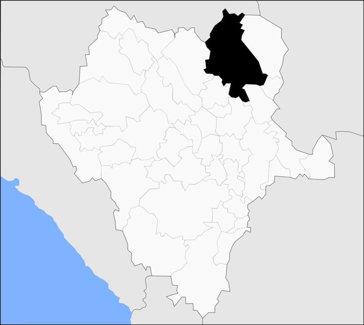 Mapimí Municipality
