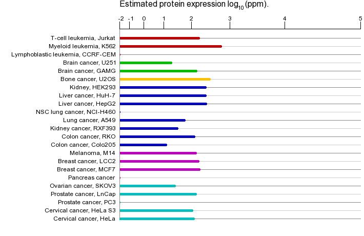 MAPK1 wwwgenecardsorgcdnproteinexpressionproteine