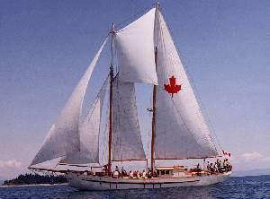 Maple Leaf (schooner) httpsuploadwikimediaorgwikipediaen444Ml