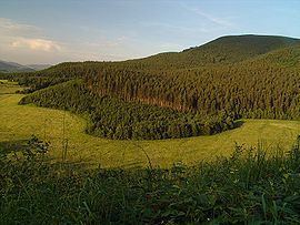Maple Mountains httpsuploadwikimediaorgwikipediacommonsthu