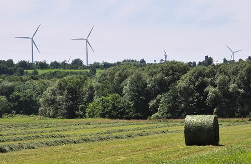 Maple Ridge Wind Farm Maple Ridge wind farm seven years on Innovation Trail