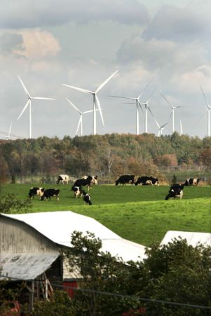 Maple Ridge Wind Farm New York Maple Ridge