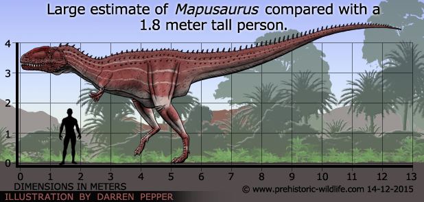 Mapusaurus Mapusaurus