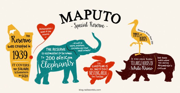 Maputo Special Reserve Experience the real Africa in Maputo Special Reserve