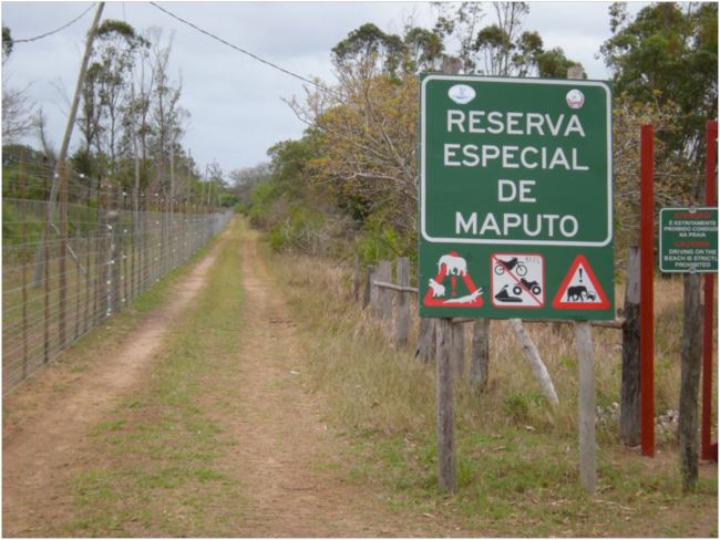 Maputo Special Reserve wwwafricalistdirectorywpcontentuploads20150