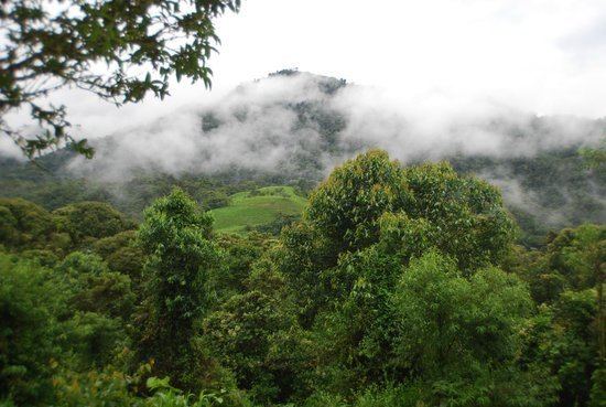 Maquipucuna Maquipucuna Cloud Forest Reserve Quito Ecuador Top Tips Before