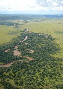 Mara River httpsuploadwikimediaorgwikipediacommonsthu
