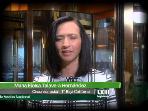 María Talavera Hernández Dip Mara Elosa Talavera Hernndez PAN YouTube