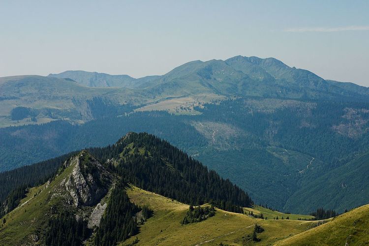 Maramureș Mountains Natural Park