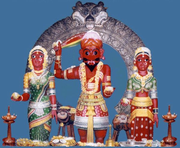 Maranakatte Brahma in light blue background