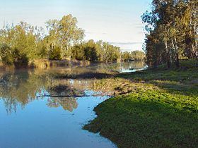 Maranoa River httpsuploadwikimediaorgwikipediacommonsthu