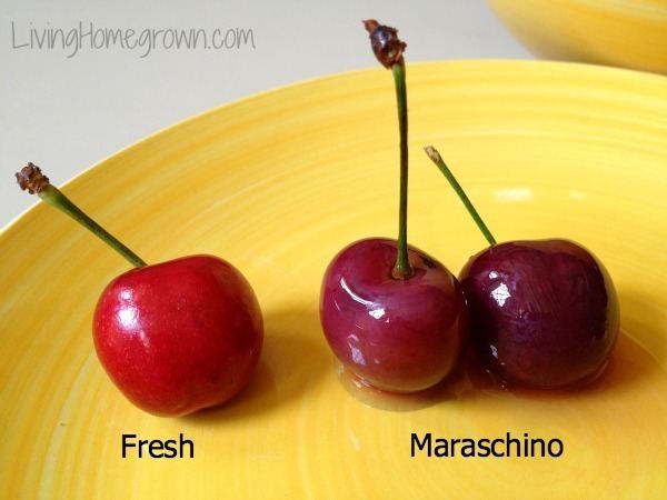 Maraschino cherry Living Homegrown
