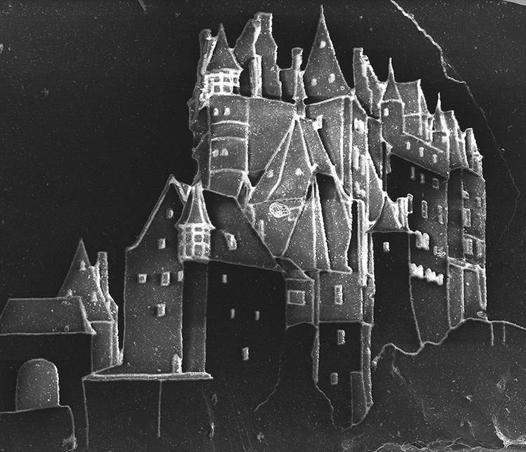 Marcelo Coelho vik muniz marcelo coelho etch microscopic castles on grains of sand