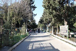 Mardakan Arboretum httpsuploadwikimediaorgwikipediacommonsthu