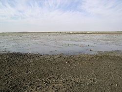 Mare d'Oursi httpsuploadwikimediaorgwikipediacommonsthu