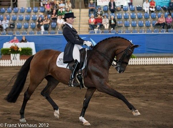 Maree Tomkinson Equestrian Life Gallery 20121026 Australian Dressage