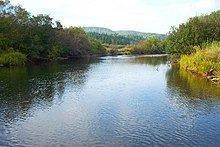 Margaree River httpsuploadwikimediaorgwikipediaenthumbf