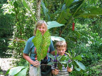 Margaret D. Lowman Canopy research is key to understanding rainforests