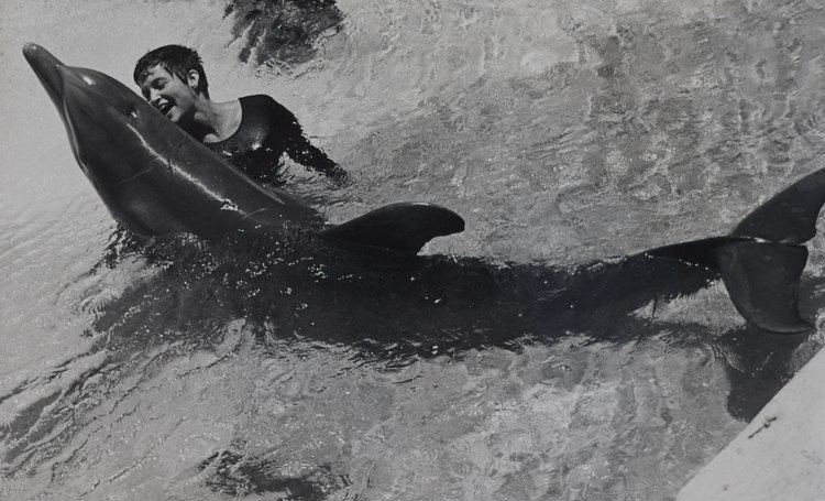 Margaret Howe Lovatt Dealing with a dolphin39s 39urges39 The Girl Who Talked to Dolphins
