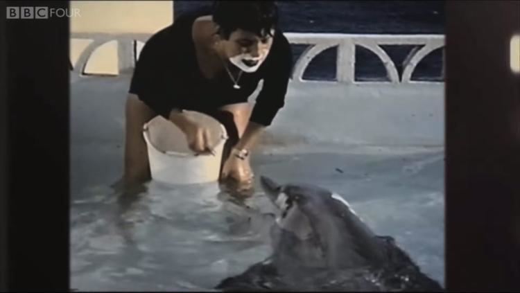 Margaret Howe Lovatt VIDEO Woman reveals sex with dolphin NY Daily News