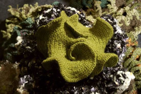 Margaret Wertheim Margaret Wertheim Crochet Coral Reef