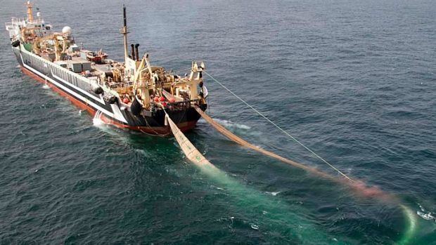 Margiris Federal court upholds ban on super trawler Margiris