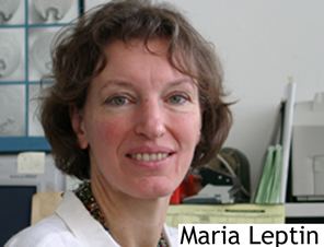 Maria Leptin wwwgenetikunikoelndegroupsLeptinpeopleMari
