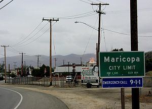 Maricopa, California httpsuploadwikimediaorgwikipediacommonsthu
