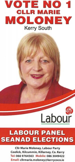Marie Moloney Flyer for Marie Moloney Labour Party Labour Panel 2011 Seanad