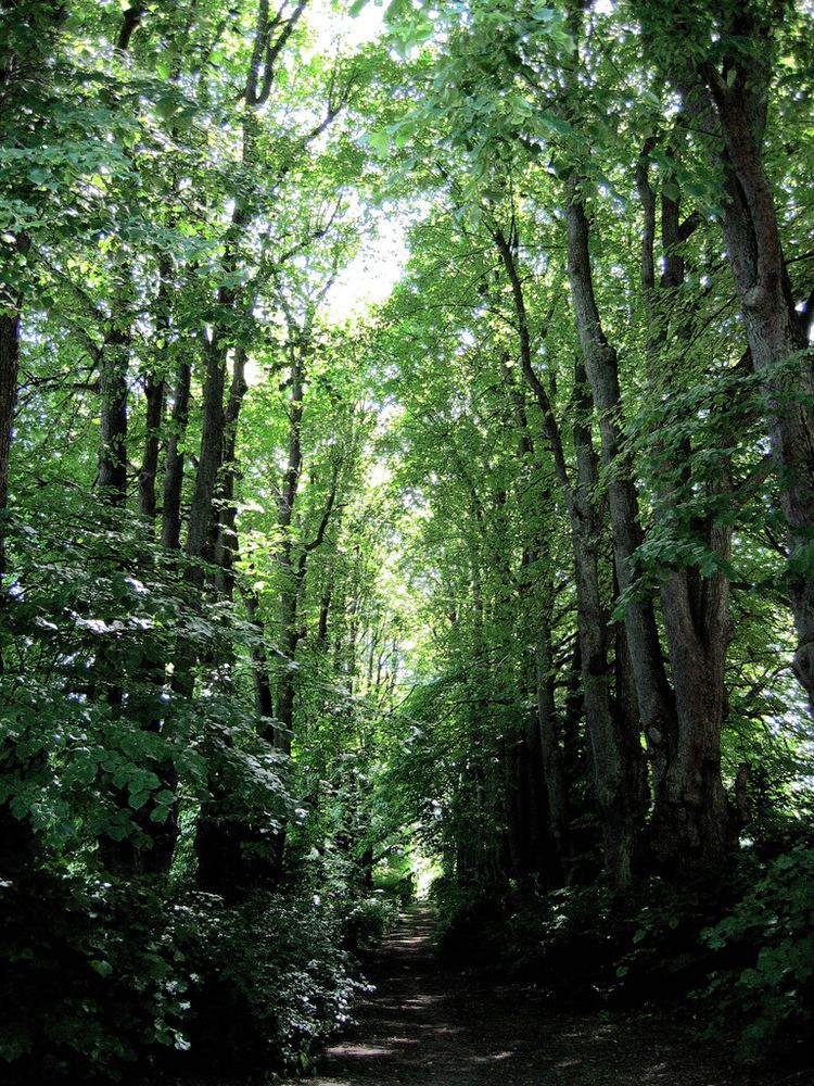 Mariebjerg Cemetery