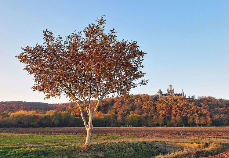 Marienburg Castle (Hanover)