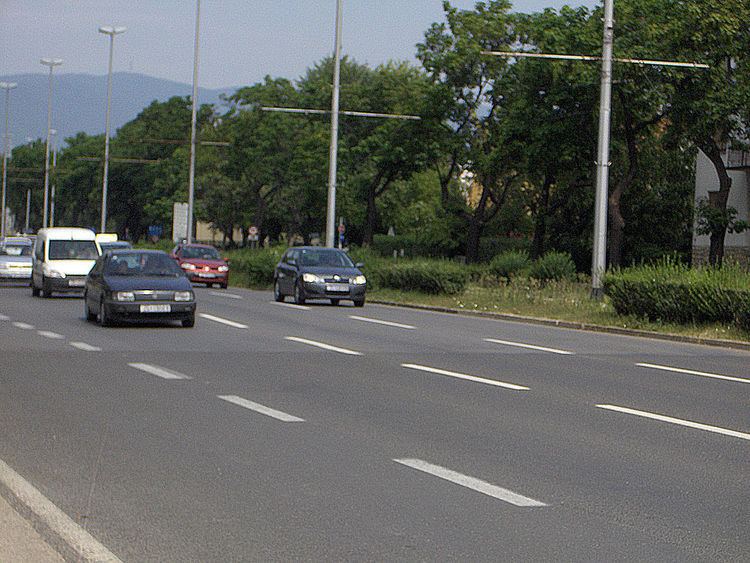 Marin Držić Avenue