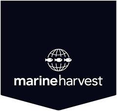 Marine Harvest wwwmarineharvestcomContentImageslogopng